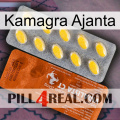 Kamagra Ajanta 42